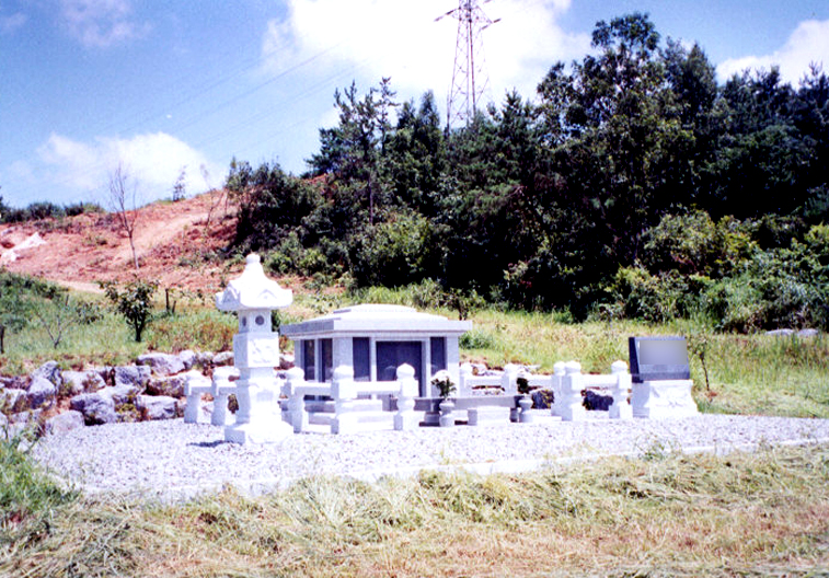 w9.jpg