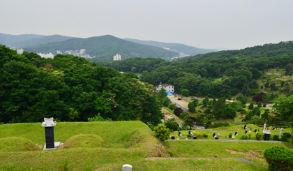 묘지이장