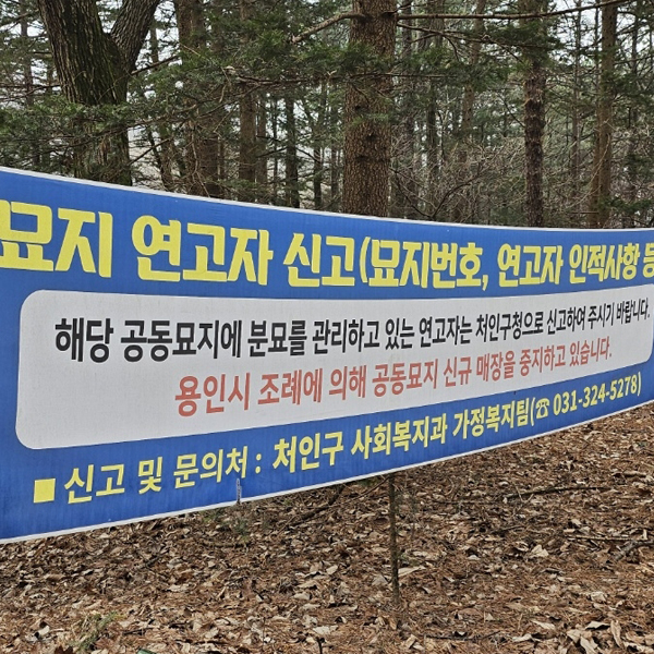 유연고 묘지