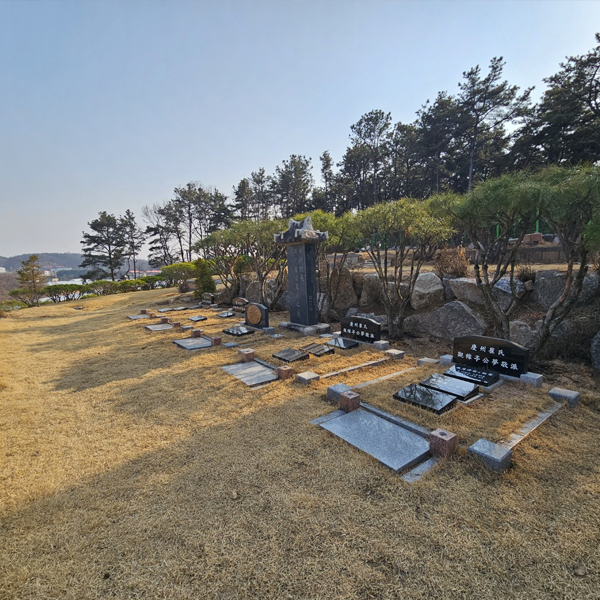 수목장 조성