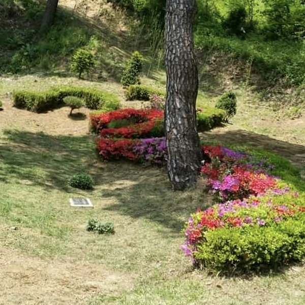 수목장 조성