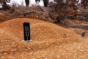 산소사초