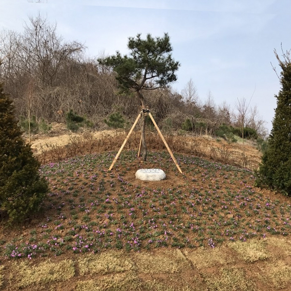 묘지 리모델링