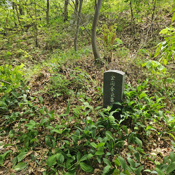 묘지 리모델링