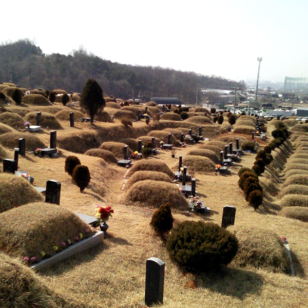 묘지 리모델링
