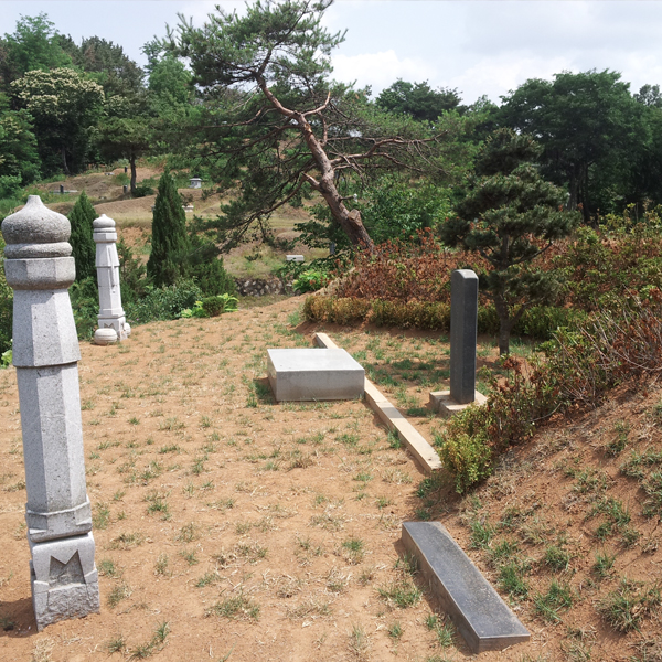 묘지 리모델링
